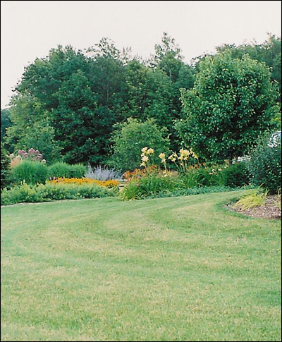 Lawn Care Maintenance services Wisconsin